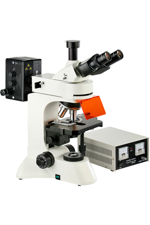 Flourescence Microscope