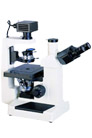 Stereo Microscope XTL