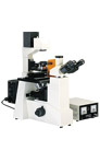 Stereo Microscope XTD