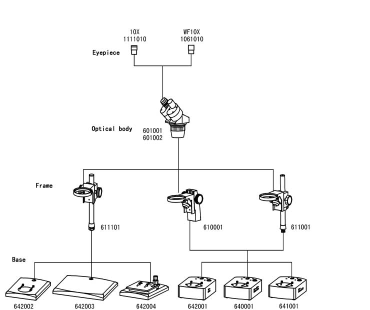 Stereo Microscope XTC