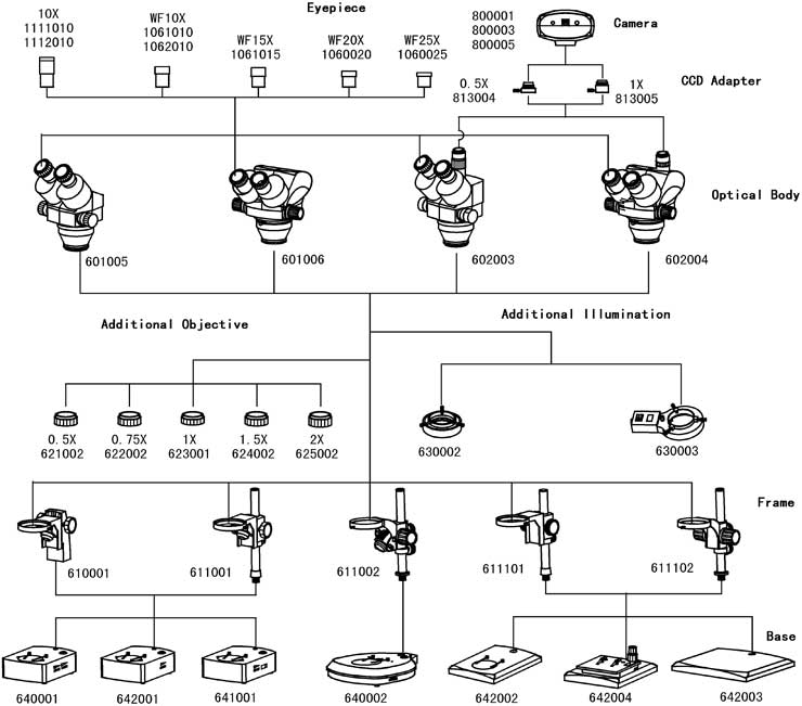 Stereo Microscope XTL